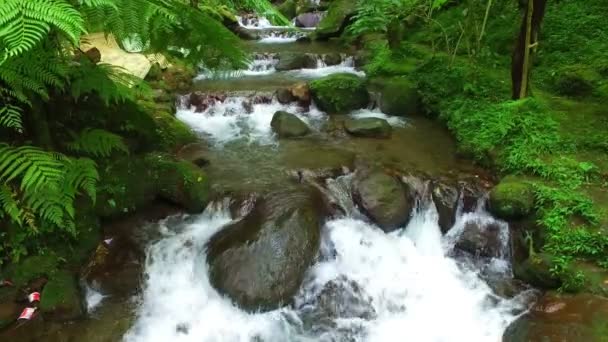 Водопад Яве — стоковое видео