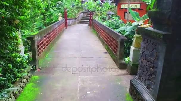 インドネシア バリ島寺院 Pura Tirtha ティルタエンプル寺院 — ストック動画