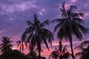 Günbatımı Endonezya Asya'nın tropikal Lombok