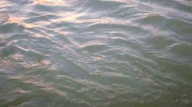  Laxmanjhula Hindistan'da Ganga nehrinde puja sırasında yüzen çiçek sepetleri