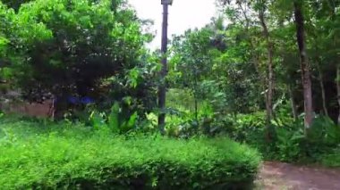 Java, Endonezya - 24 Aralık 2016:Countryside Java Endonezya