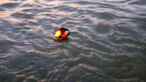 Blumenkörbe Die Während Der Puja Fluss Ganga Laxmanjhula Indien Schwimmen — Stockvideo