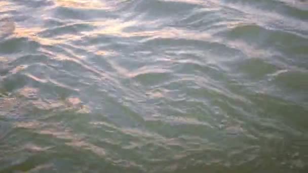 Cestas Flores Flutuando Rio Ganga Laxmanjhula Índia Durante Puja — Vídeo de Stock