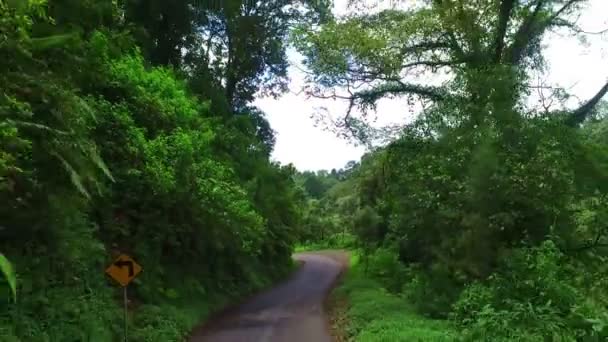 Fahrt Durch Die Natur Auf Java Indonesien — Stockvideo