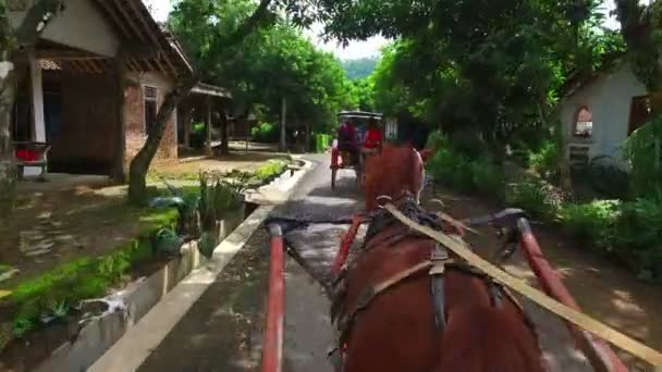 Java Indonesia Декабря 2016 Года Поездка Лошадиной Тележке Сельской Местности — стоковое видео