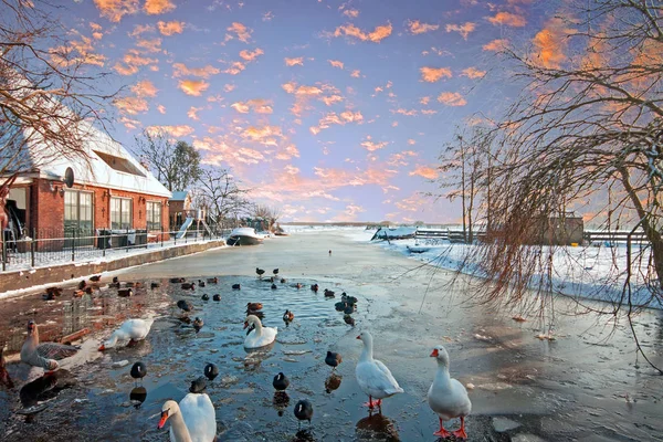 Inverno in campagna dai Paesi Bassi al tramonto — Foto Stock
