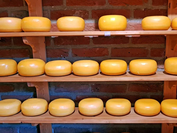 Queso holandés en un estante para la venta — Foto de Stock