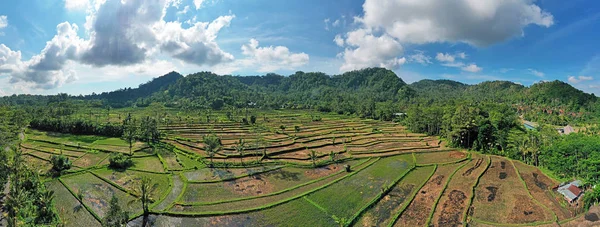 Luftpanorama von Reisterrassen in Sidemen auf Bali Indonesien — Stockfoto