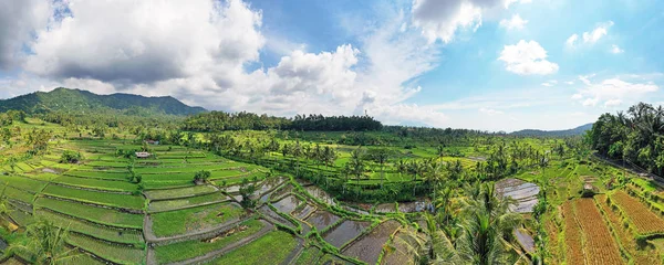 Antenne von Reisfeldern in Sidemen auf Bali Indonesien — Stockfoto