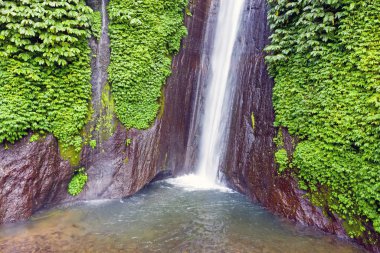Bali Endonezya 'daki Munduk şelalesinden havadan