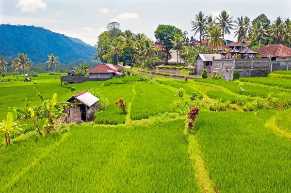 Aerial from rice terraces in Sidemen on Bali Indonesia — 스톡 사진