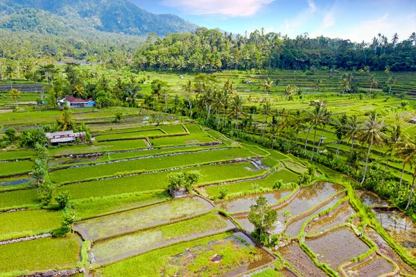 Aerial from rice terraces in Sidemen on Bali Indonesia — 스톡 사진