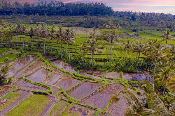 Vue aérienne depuis les terrasses de riz à Sidemen sur Bali Indonésie — Photo
