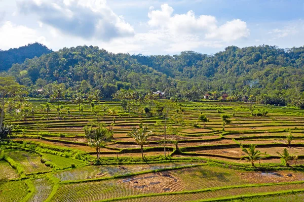 Levegő a Bali Indonézia melletti Sidemen rizsföldjeiről — Stock Fotó