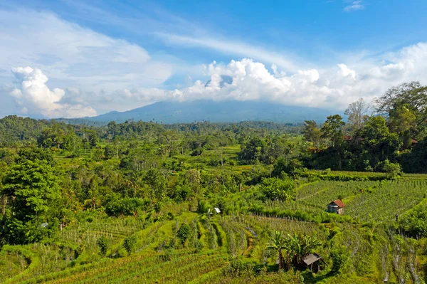 Levegő a Sidemen-i rizsföldekről, a Mount Agung-gal a háttérben. — Stock Fotó