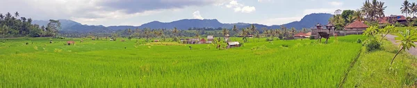 Panorama de campos de arroz em Sidemen em Bali Indonésia — Fotografia de Stock