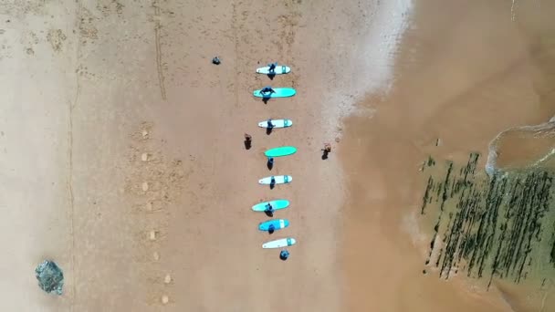 Luchtfoto Van Surfers Het Strand — Stockvideo