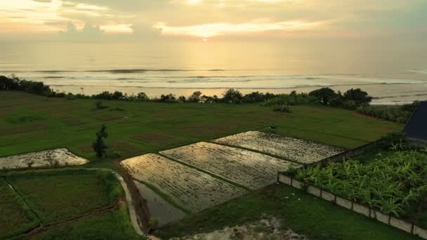 Aérea Desde Terrazas Arroz Atardecer Bali Indonesia — Vídeos de Stock