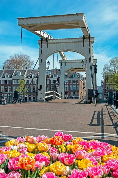 Cidade Cênica Amsterdã Primavera Ponte Minúscula Nos Países Baixos — Fotografia de Stock