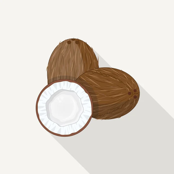 Coconut Flat Icon — Stock Vector