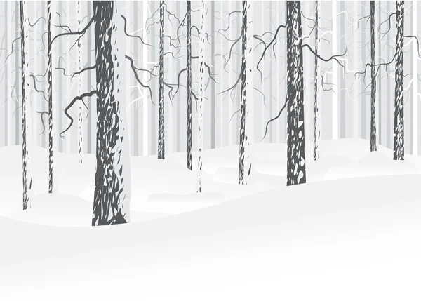 Winter bladverliezende wouden — Stockvector