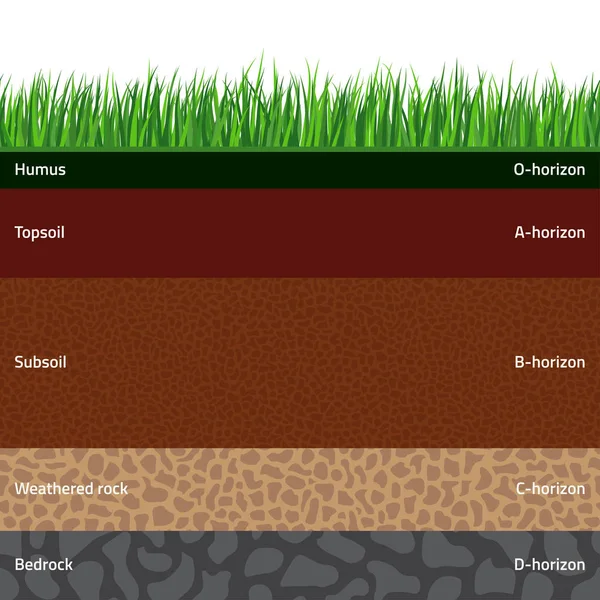 Seamless soil layers — Stock Vector