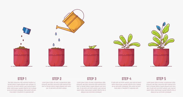 生长的植物阶段 浇灌可以 发芽并种植植物 花盆里的室内植物 室内盆栽的线条式平面插图 生长过程 — 图库矢量图片