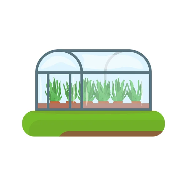 抽象绿地岛上的温室 在兵马俑花盆里种植绿色植物 带玻璃的典型温室中的病媒植物 种植和园艺病媒 农业横幅 — 图库矢量图片