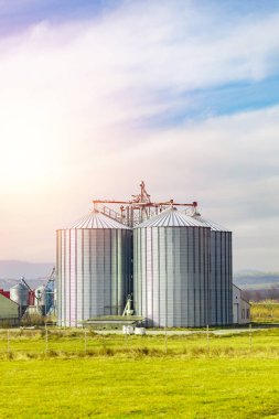 Endüstriyel bir yer, yeşil alanda bir domuz çiftliğinin yanında iki büyük metal silo, bulutlu mavi gökyüzü.