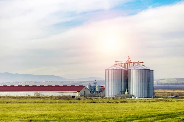 Ipari Hely Két Hatalmas Fém Siló Mellett Egy Sertés Farm — Stock Fotó