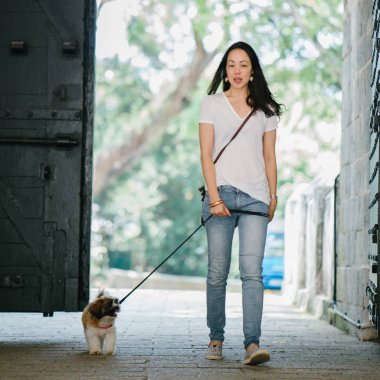 Onun genç shih tzuh yavru köpek park ile gün içinde oturan genç Pan Asya kadın portresi. Gülümsüyor ve her ikisi de sıcak gün tadını çıkarıyor.