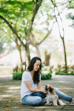 Onun genç shih tzuh yavru köpek park ile gün içinde oturan genç Pan Asya kadın portresi. Gülümsüyor ve her ikisi de sıcak gün tadını çıkarıyor.