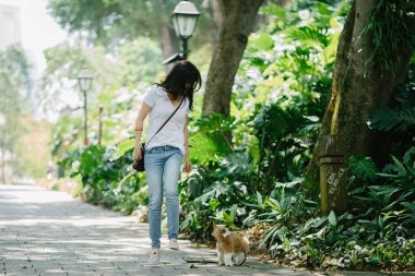 Genç bir Pan Asya kadın ile köpek parkta sıcak bir günde yeşil bir parkta portresi. Köpek oyuncak doğurmak shih tzuh olduğunu.