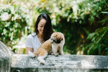 Parkta onun shih tzuh köpek olan bir genç, çekici pan Asya kadın portresi. Onlar ortasında bir yürüyüş ve neşeli ve rahat görünüyorlar.