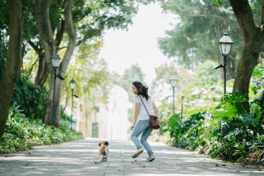 Genç bir Pan Asya kadın ile köpek parkta sıcak bir günde yeşil bir parkta portresi. Köpek oyuncak doğurmak shih tzuh olduğunu.