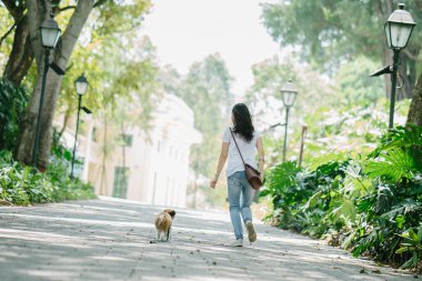 Genç bir Pan Asya kadın ile köpek parkta sıcak bir günde yeşil bir parkta portresi. Köpek oyuncak doğurmak shih tzuh olduğunu.