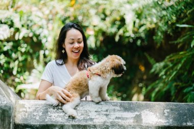 Parkta onun shih tzuh köpek olan bir genç, çekici pan Asya kadın portresi. Onlar ortasında bir yürüyüş ve neşeli ve rahat görünüyorlar.