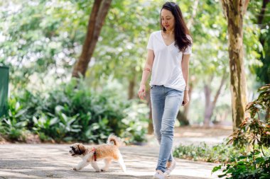 Genç bir Pan Asya kadın ile köpek parkta sıcak bir günde yeşil bir parkta portresi. Köpek oyuncak doğurmak shih tzuh olduğunu.