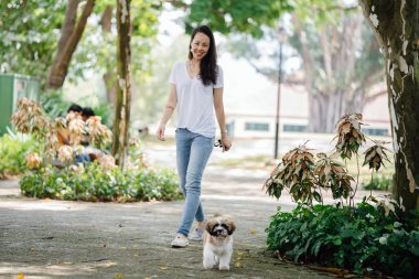 Genç bir Pan Asya kadın ile köpek parkta sıcak bir günde yeşil bir parkta portresi. Köpek oyuncak doğurmak shih tzuh olduğunu.