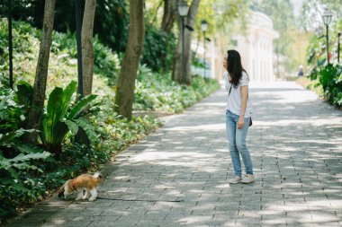 Genç bir Pan Asya kadın ile köpek parkta sıcak bir günde yeşil bir parkta portresi. Köpek oyuncak doğurmak shih tzuh olduğunu.