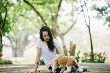 Onun genç shih tzuh yavru köpek park ile gün içinde oturan genç Pan Asya kadın portresi. Gülümsüyor ve her ikisi de sıcak gün tadını çıkarıyor.