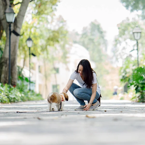 Portrait Young Pan Asian Woman Dog Green Park Warm Day — Stock Photo, Image