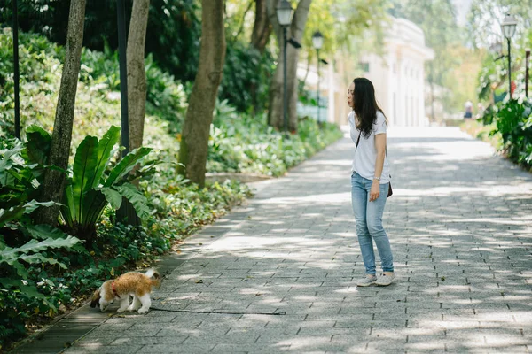 Genç bir Pan Asya kadın ile köpek parkta sıcak bir günde yeşil bir parkta portresi. Köpek oyuncak doğurmak shih tzuh olduğunu.