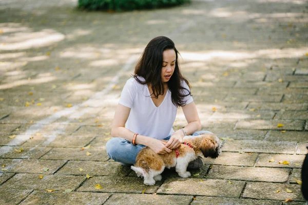 Portrait of a young Pan Asian woman sitting with her young shih tzuh puppy dog in the park in the day. She is smiling and they are both enjoying the warm day.