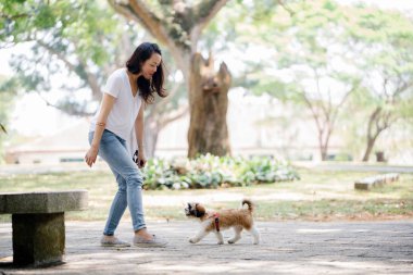 Genç bir Pan Asya kadın ile köpek parkta sıcak bir günde yeşil bir parkta portresi. Köpek oyuncak doğurmak shih tzuh olduğunu.