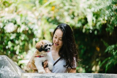 Parkta onun shih tzuh köpek olan bir genç, çekici pan Asya kadın portresi. Onlar ortasında bir yürüyüş ve neşeli ve rahat görünüyorlar.