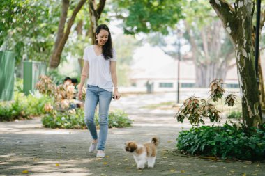 Onun genç shih tzuh yavru köpek park ile gün içinde oturan genç Pan Asya kadın portresi. Gülümsüyor ve her ikisi de sıcak gün tadını çıkarıyor.