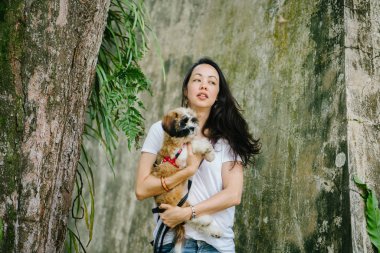 Onun genç shih tzuh yavru köpek park ile gün içinde oturan genç Pan Asya kadın portresi. Gülümsüyor ve her ikisi de sıcak gün tadını çıkarıyor.