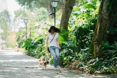 Genç bir Pan Asya kadın ile köpek parkta sıcak bir günde yeşil bir parkta portresi. Köpek oyuncak doğurmak shih tzuh olduğunu.