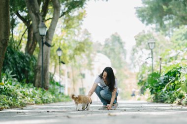Genç bir Pan Asya kadın ile köpek parkta sıcak bir günde yeşil bir parkta portresi. Köpek oyuncak doğurmak shih tzuh olduğunu.
